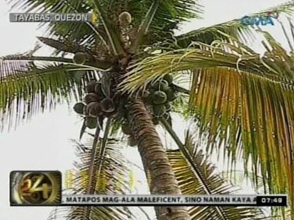 24 Oras: Sec. Pangilinan at Sec. Roxas, nakipagpulong sa mga opisyal sa Quezon