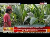 State of Emergency, idineklara sa ilang lalawigan dahil sa pag-atake ng mga 'Cocolisap'