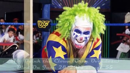 Top 20 WWE Superstar Who Are Murdered By Enemies