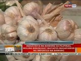Industriya ng bawang sa Pilipinas, muling binubuhay matapos masapawan ng imported na bawang