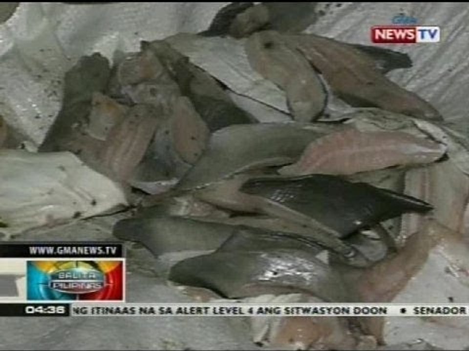 BP: Saku-sakong karne ng thresher shark at butanding, nasamsam sa Cebu
