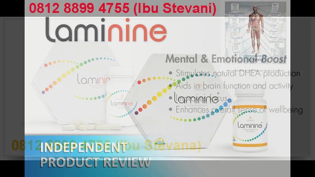 WA 0812-8899-4755, Agen Laminine Jakarta, Laminine Pusat
