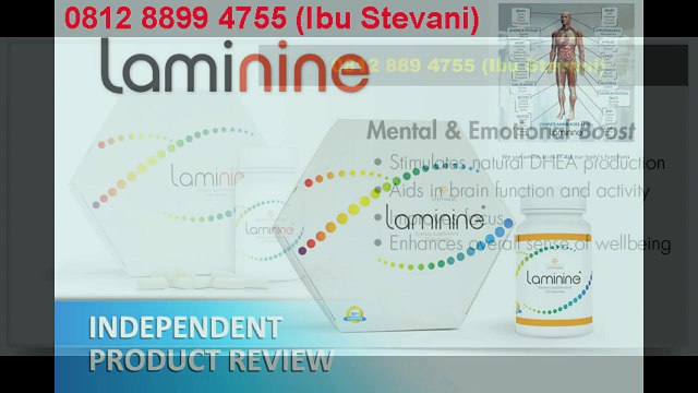 WA 0812-8899-4755, Agen Laminine di Bali, Testimoni Laminine Indonesia