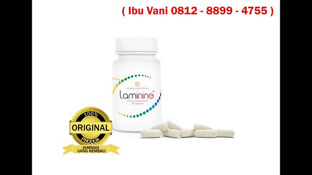 WA 0812-8899-4755 Harga Paket Laminine , WA 0812-8899-4755, Agen Obat Laminine
