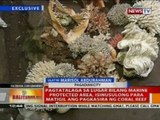 Bahagi ng dagat kung saan itinago ang mga naaning corals, sinisid ng DENR at BFAR