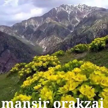 Bahram Jan New Tapey 2017 Janan Me Laro Musafar Sho