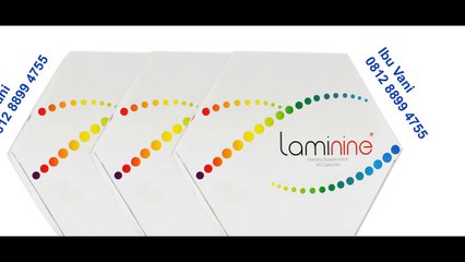 0812 8899 4755 (Ibu Vani) Harga Laminine , Harga Obat Laminine,Harga Suplemen Laminine