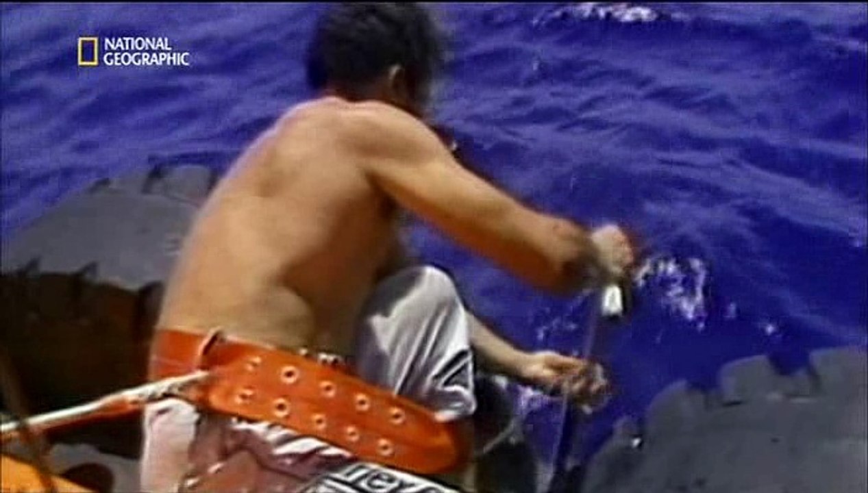 Alarm im Cockpit  S04E03 - Feuer an Bord