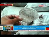 BP: Sako-sakong capiz shells na walang papeles, nasabat sa Carmen, Cebu