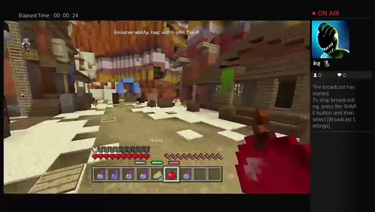 Minecraft TV! (6)