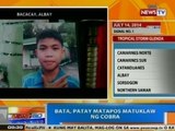 NTG: Bata, patay matapos matuklaw ng cobra sa Albay