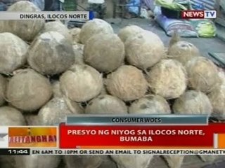 BT: Presyo ng niyog sa Ilocos Norte, bumaba