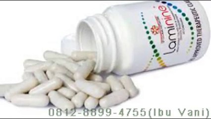 Distributor Laminine Indonesia, Harga Obat Laminine