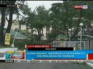 Ilang kalsada sa Bataan, 'di madaanan dahil sa mga naputol at nagtumbahang puno