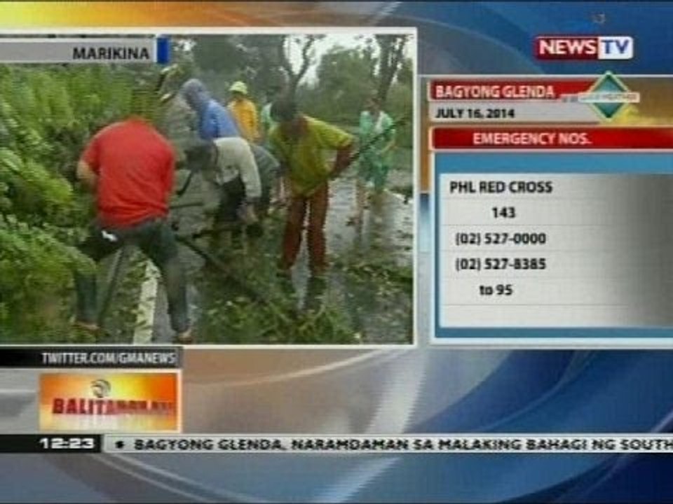 BT: Ilang puno, nabuwal dahil sa lakas ng hangin ng Bagyong Glenda