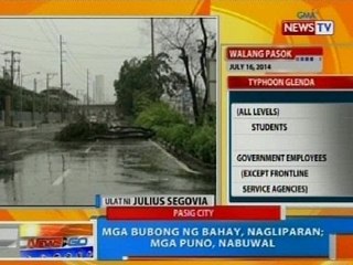 NTG: Mga bubong ng bahay sa Pasig City, nagliparan; mga puno, nabuwal