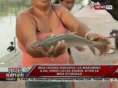 Mga isdang nahuhuli sa maruming ilog, hindi ligtas kainin, ayon sa mga otoridad