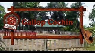 Gallop Cochin - Cochin's first Hourse Riding Academy