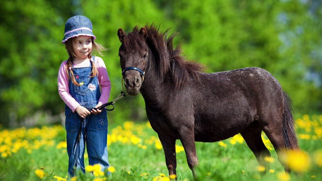 Nel sorriso dell'aurora | Romanzo di Imma Pontecorvo | Official Booktrailer [ HD ]