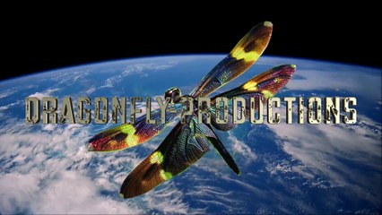 Création A TESTA MORA