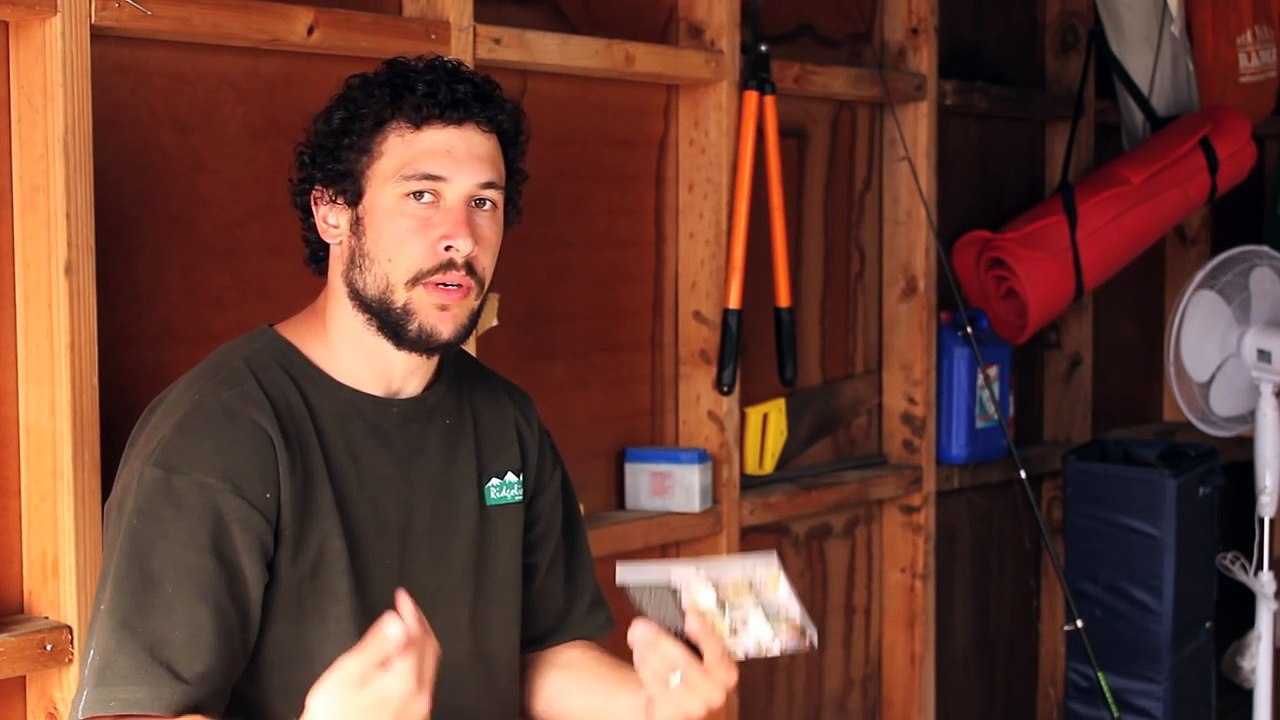 HOW TO DAD READ