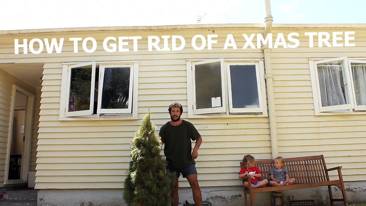 02.HOW TO GET RID OF A XMAS TREE