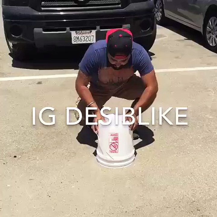 funny video what they catch must watch