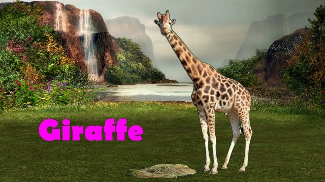 Compilation Learn Wild Animals Names vesves Sounds Wild Zoo Animals Names Wild Animals, Far