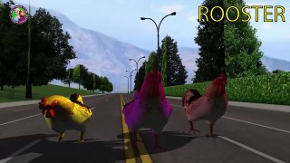 Farm Animals Finger Family 3D Rhymes    Chicken Rooster Bull Pig Sheep Preschol Rhymes