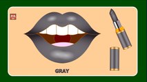 Learn Colors with Lipstick   Colors to Kids Children Toddlers   Kids Learning Videos
