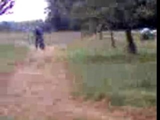 MOV00010