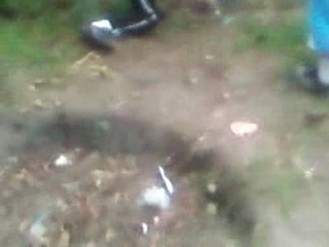 Banlieu , fou baston gang , sang , bombe