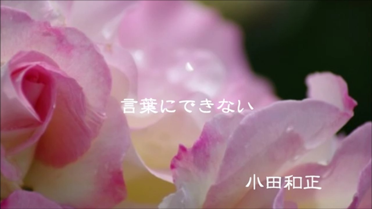 【名曲オルゴール -1-】「言葉にできない」　小田和正　[Classic Music Box Music Box - 1 -] "Can not Talk" Kazumasa Oda