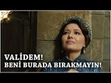 Muhteşem Yüzyıl Kösem - Yeni Sezon 8.Bölüm (38.Bölüm) | Validem! Beni Burada Bırakmayın!