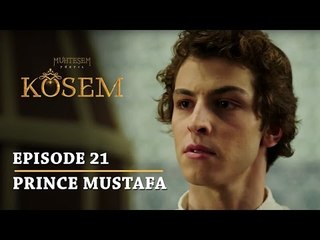 "Magnificent Century Kosem" Episode 21 - Prince Mustafa (Teaser) - English Subtitles