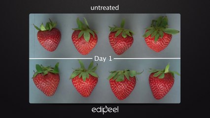 Así funciona Edipeel, el spray que hace frutas y verduras duren hasta cinco veces más