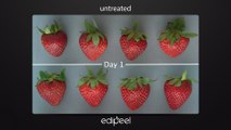 Así funciona Edipeel, el spray que hace frutas y verduras duren hasta cinco veces más