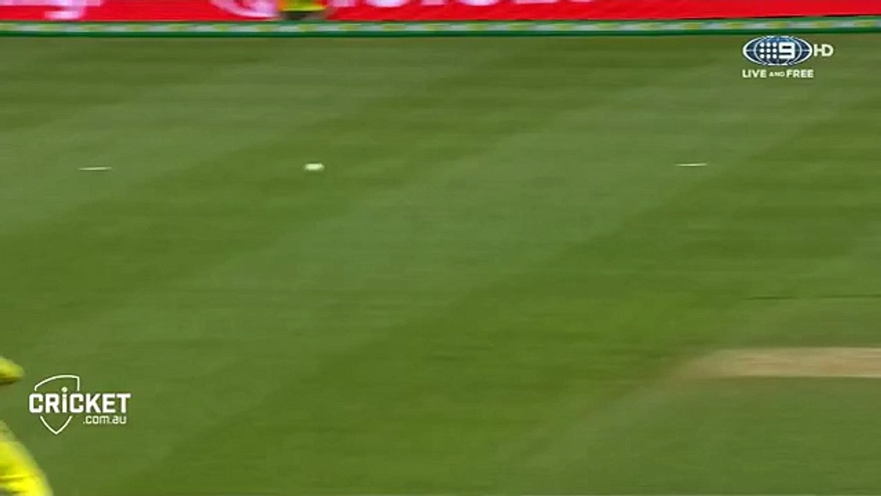 Steve Smith catch against New Zealand