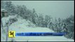 Bharat Khabar: Latest & Breaking Snow Fall Video in Shimla
