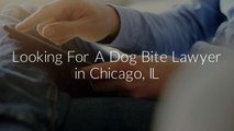 Dog Bite Lawyer in Chicago, IL - Marc J Shuman & Associates, Ltd.