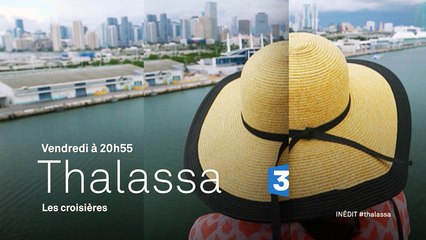 Croisières, le prix du rêve ! (bande-annonce)