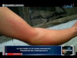 Saksi: 42 pamilya sa isang barangay sa Calamba, Laguna, tinamaan ng Chikungunya