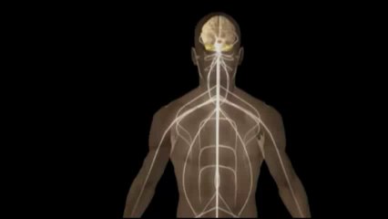 Las mujeres tienen mejor olfato que los hombres