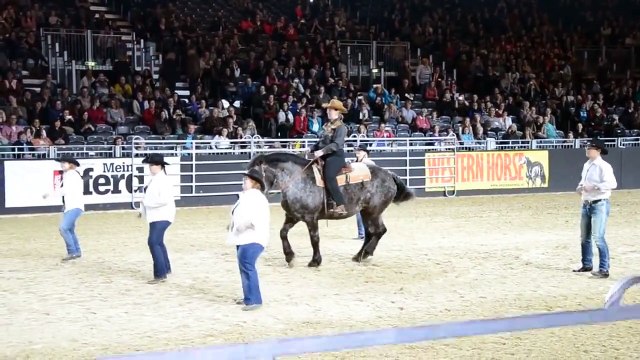 Un cheval se place au milieu des cowboys, mais quand commence la musique, le public est impressionné !