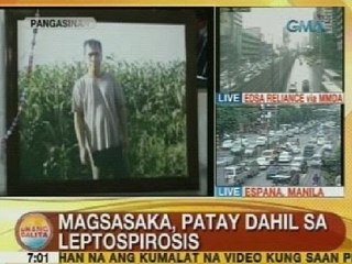 UB: Magsasaka sa Pangasinan, patay dahil sa leptospirosis