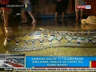 BP: Sawang halos 15-ft. ang haba, nakita sa tapat ng isang bahay sa Caloocan City