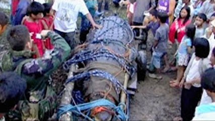 World's Biggest Crocodile caught in philippines