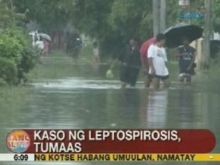 UB: Kaso ng leptospirosis, tumaas