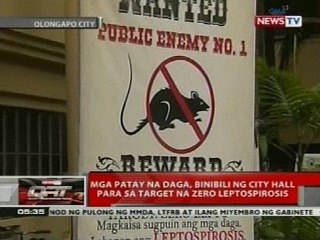 QRT: Kampanya kontra-leptospirosis, puspusan