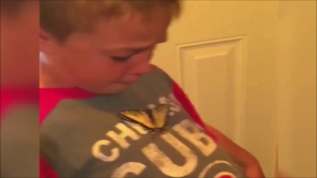Ce gamin est terrifié par un papillon !